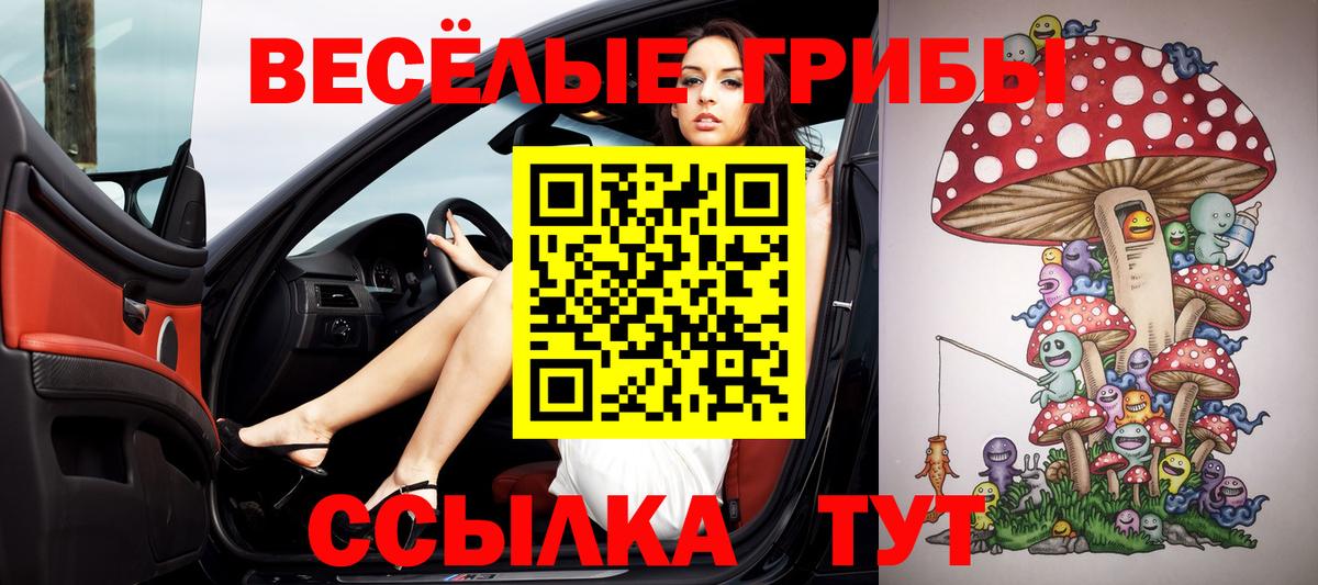 Галлюциногенные грибы Cubensis  Вход с VPN  купить наркотик  Гай  Галлюциногенные грибы мухоморы 