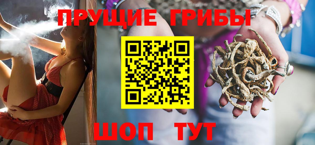 Галлюциногенные грибы GOLDEN TEACHER Гай